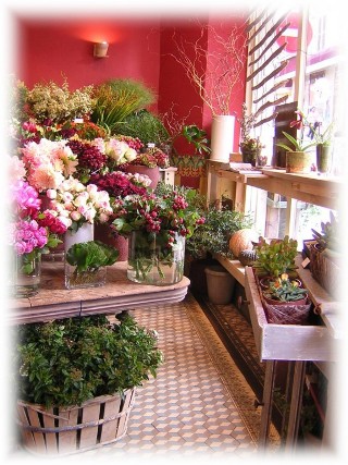 boutique fleuriste